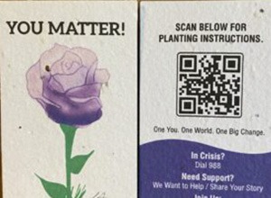 Your Matter Card